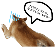 883730976