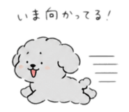 883735255