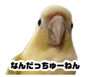 883736781