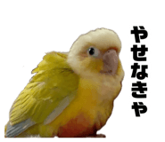 883736782