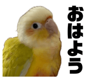 883736787