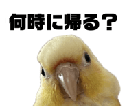883736790