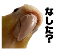 883736793