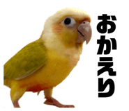 883736794