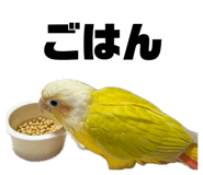 883736796