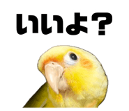 883736798
