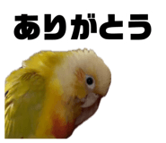 883736800