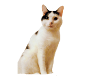883738337