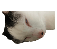 883738340