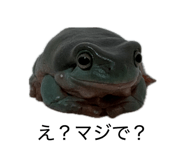 883741545