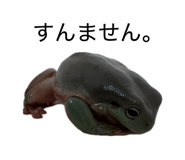 883741546