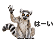 883763797