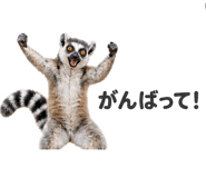 883763799
