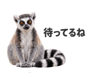 883763812