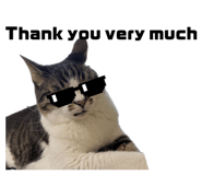 883768937