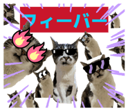 883768939