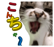 883768941