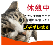 883768952