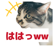 883768956