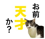 883768957
