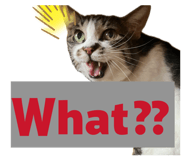 883768963