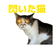 883768966