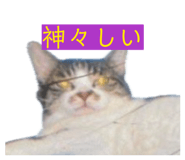 883768967