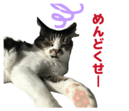 883768968