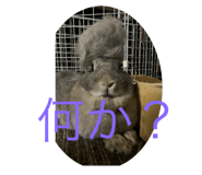 883788140