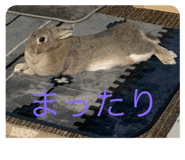 883788141
