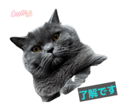883798615