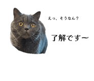 883798616