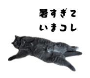 883798617