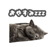883798622