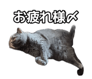 883798623