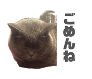 883798624