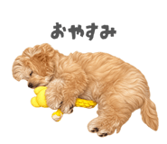 883803626