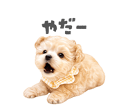 883803632