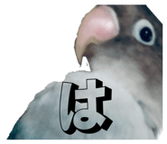 883806790