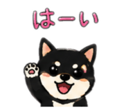 883836677