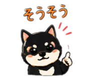 883836686