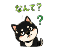 883836691