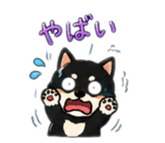 883836697