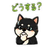 883836698