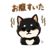 883836699
