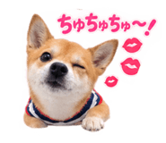 883838801