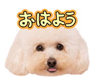 883838969