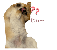 883848436