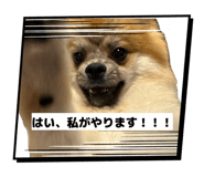 883848437