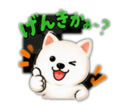 883866099